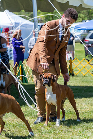 20230514-DSC04547