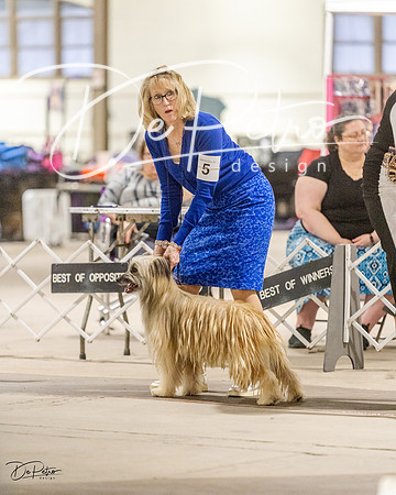 20230401-DSC08123