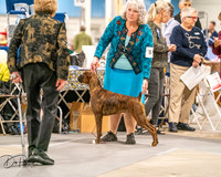 20261022-DSC01640