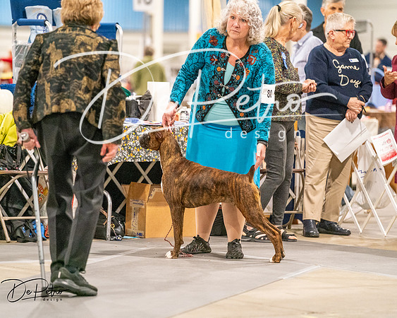 20261022-DSC01640