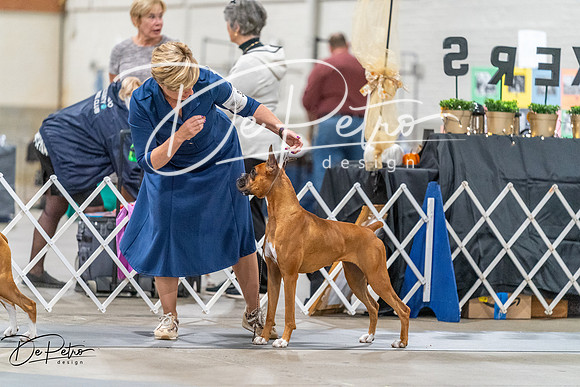 20261022-DSC00333
