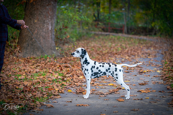 20261017-DSC09167