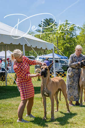 20230514-DSC08041