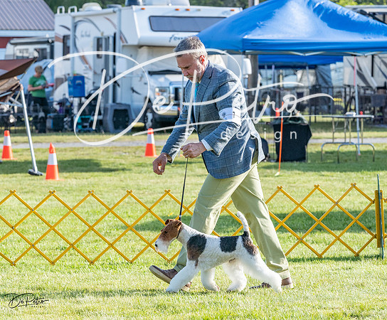 20230513-DSC02555