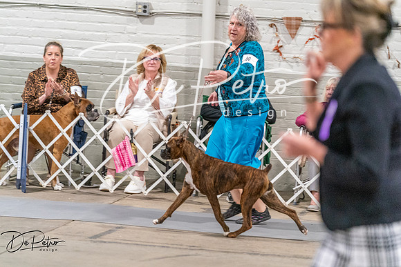 20261022-DSC00456