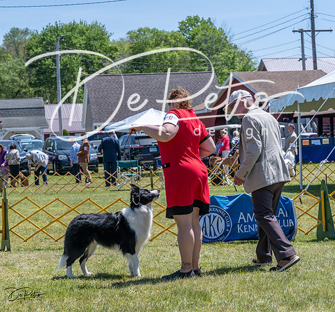 20230514-DSC05013