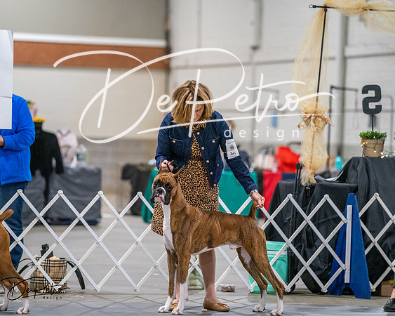 20261022-DSC02755