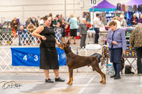 20261024-DSC00558