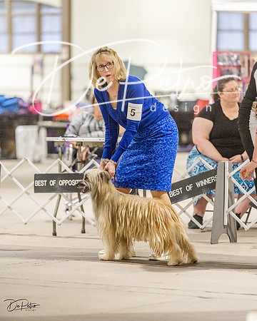 20230401-DSC08124