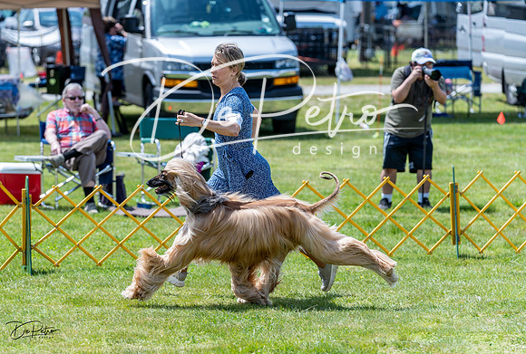 20230513-DSC09125