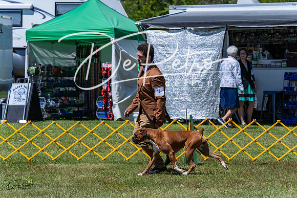 20230514-DSC04146