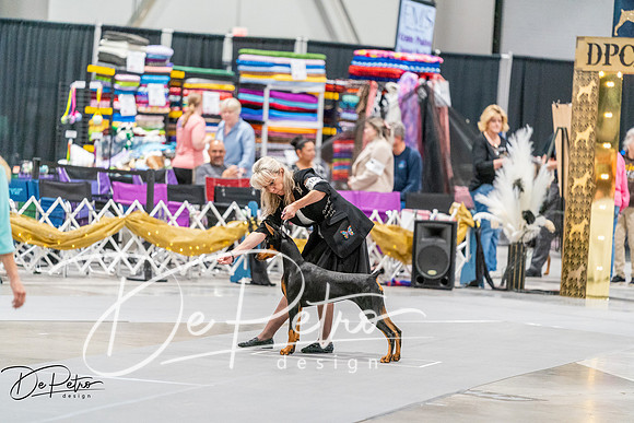 20260930-DSC06910