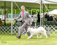 20230427-DSC03111