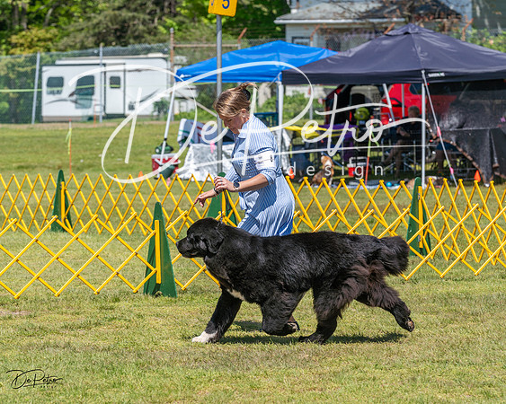 20230514-DSC03833