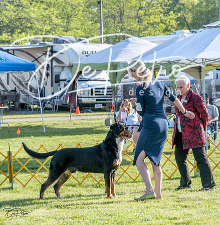 20230513-DSC02339