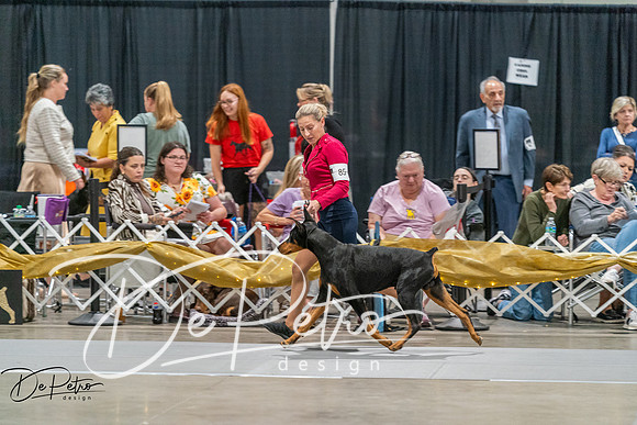 20260927-DSC05430
