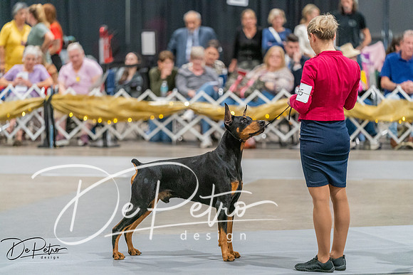 20260927-DSC05425