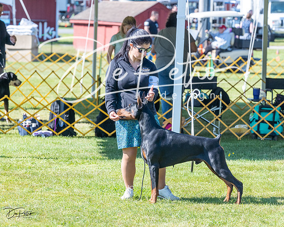 20230514-DSC02933