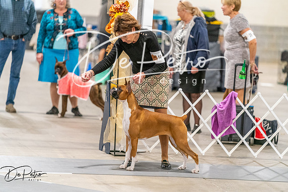 20261022-DSC00243