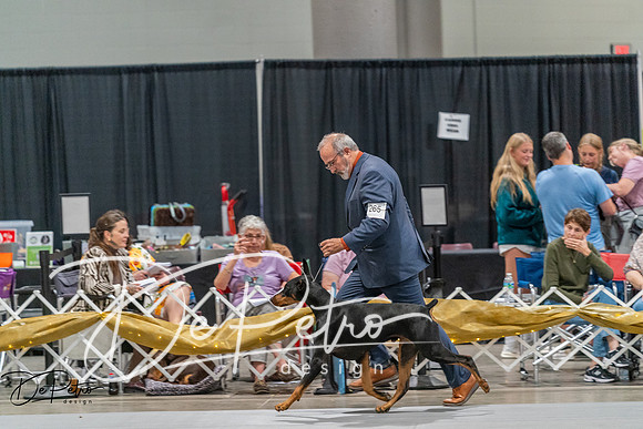 20260927-DSC05577