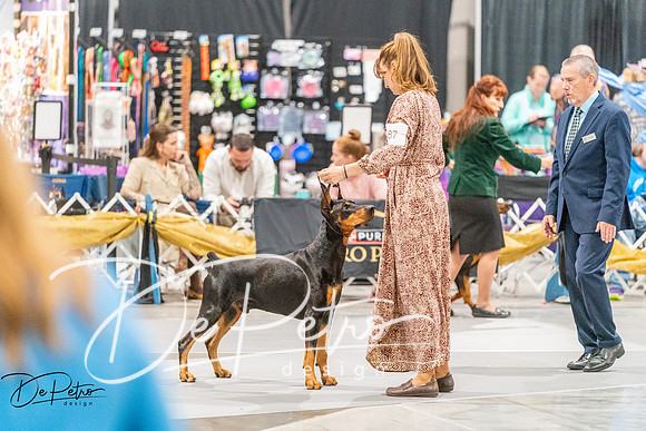 20261001-DSC07219