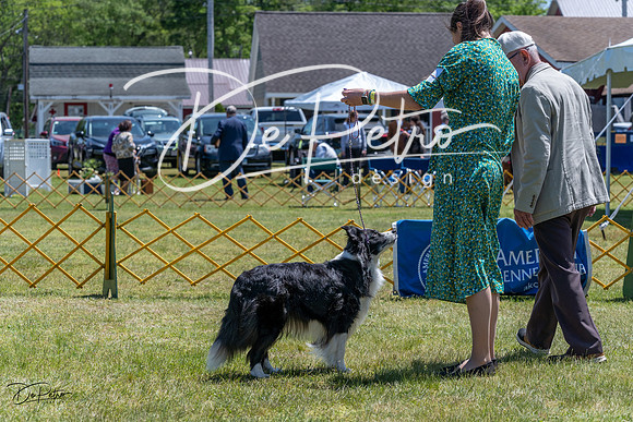 20230514-DSC04985