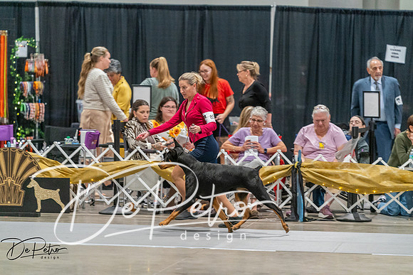 20260927-DSC05434