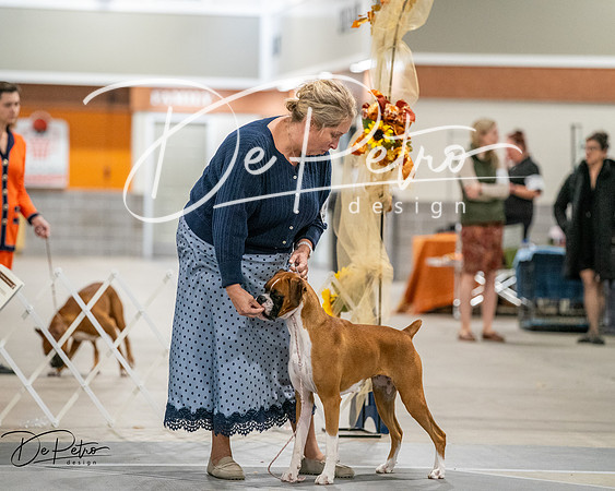 20261022-DSC03015
