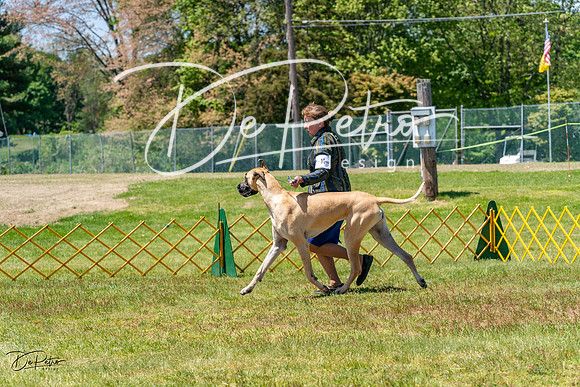 20230514-DSC08015