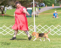 20250628-DSC08332