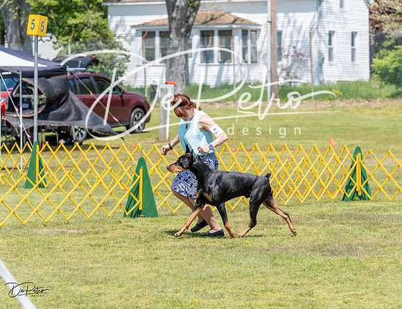 20230512-DSC02918