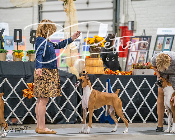 20261022-DSC03120