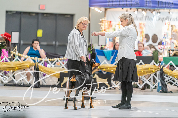20260927-DSC05236
