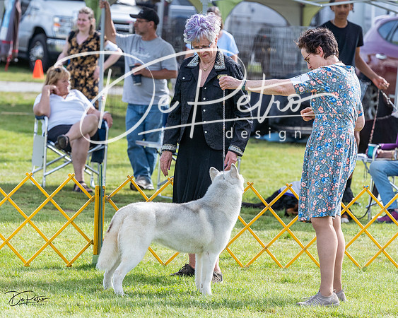 20230513-DSC01121