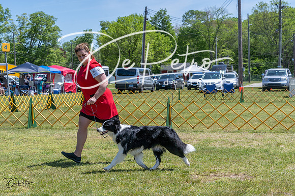 20230514-DSC04995