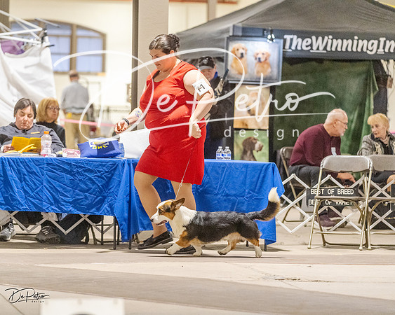 20230401-DSC08111