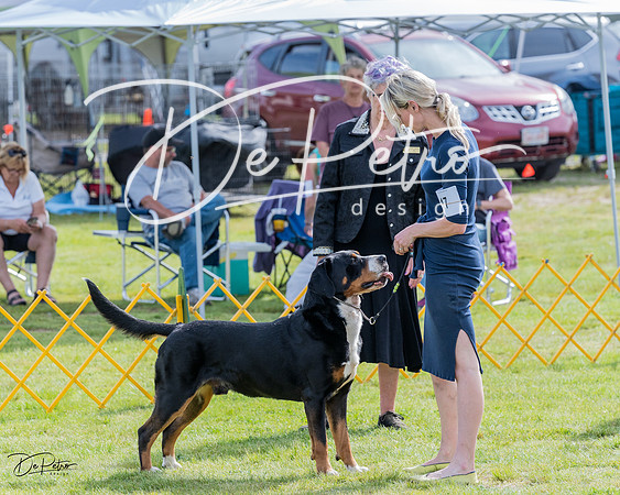 20230513-DSC00799