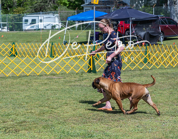 20230514-DSC03761