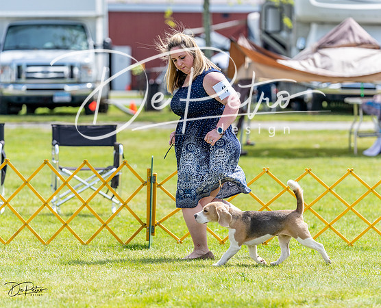 20230513-DSC09393