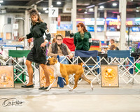 20261022-DSC01607