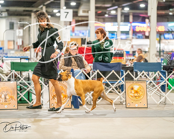 20261022-DSC01607