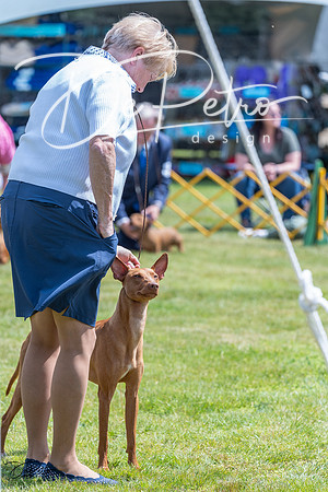 20230512-DSC03923