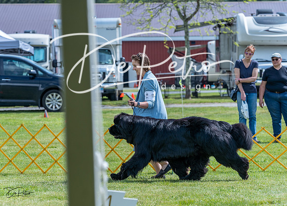 20230512-DSC05149