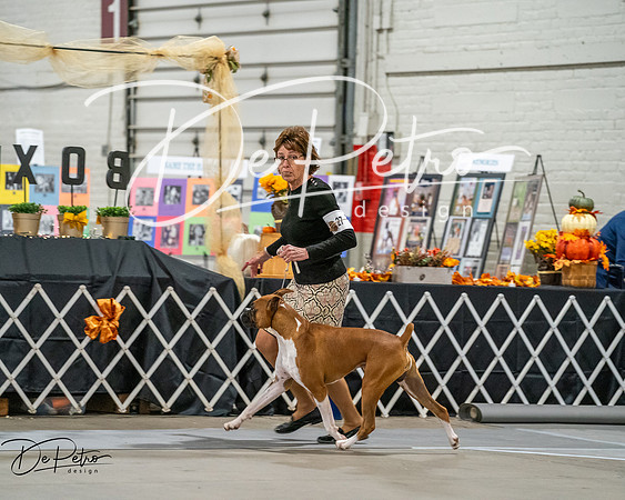 20261022-DSC02951