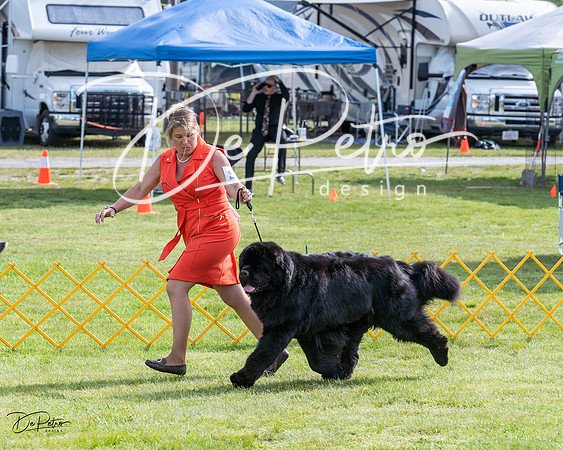 20230513-DSC00951