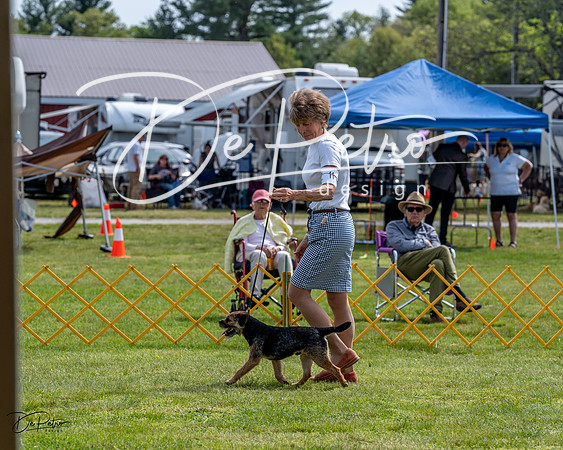 20230513-DSC00029