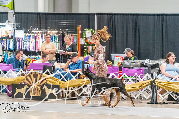 20261001-DSC07242