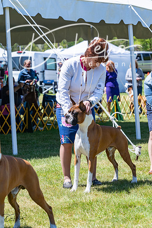20230514-DSC04275