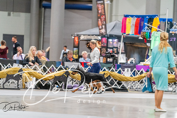 20260930-DSC07103