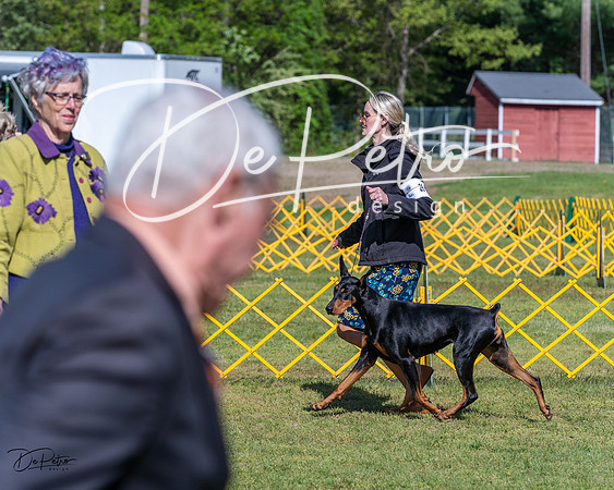 20230514-DSC03053